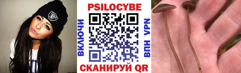 Галлюциногенные грибы Psilocybe  что такое   Петухово 