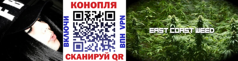 купить наркоту  Петухово  Бошки Шишки ГИДРОПОН 
